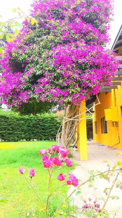 Gasthaus Casa Felice La Serena Exterior foto