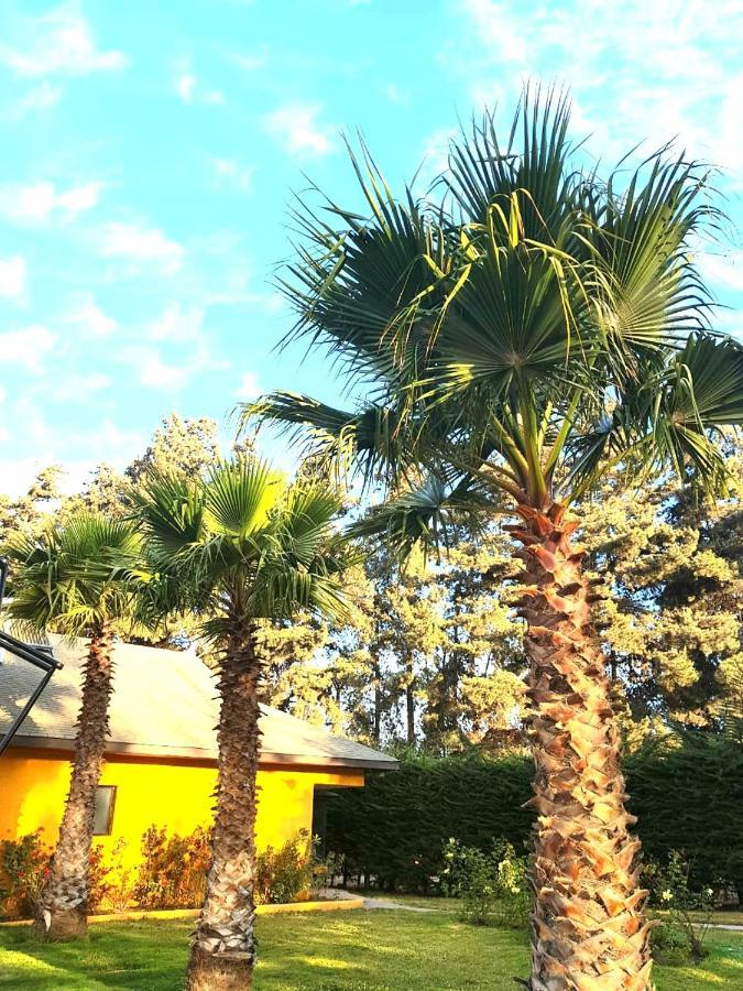 Gasthaus Casa Felice La Serena Exterior foto