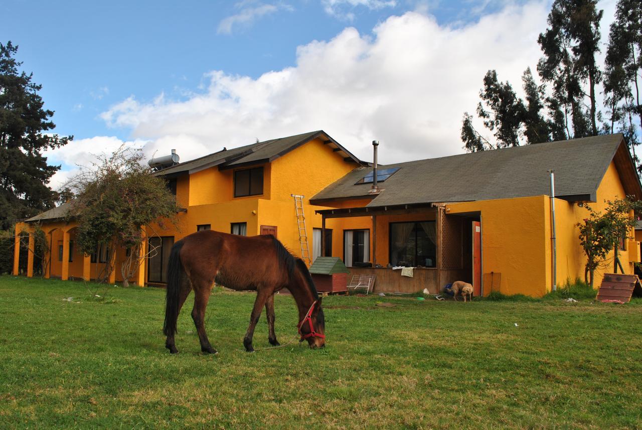 Gasthaus Casa Felice La Serena Exterior foto