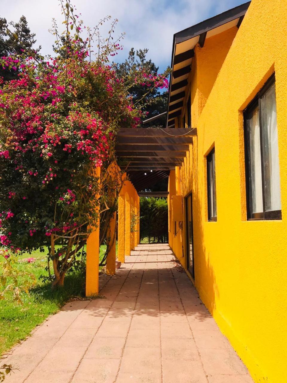 Gasthaus Casa Felice La Serena Exterior foto